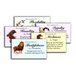 Character Cards