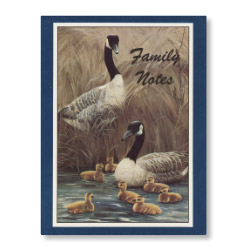 Family Note Cards <span class='s'>Clearance</span>