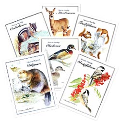 Character Booklets 1-6