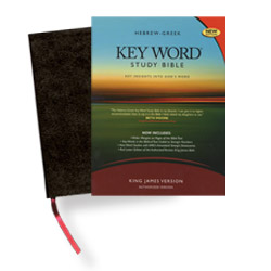 Hebrew-Greek Key Word Study Bible - KJV - Black