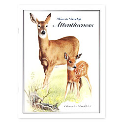 Character Booklet: Attentiveness