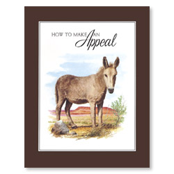 How to Make an Appeal