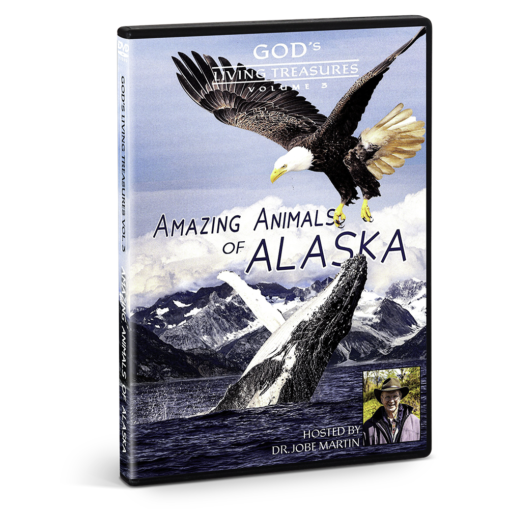 Amazing Animals of Alaska, Vol. 3 (DVD)