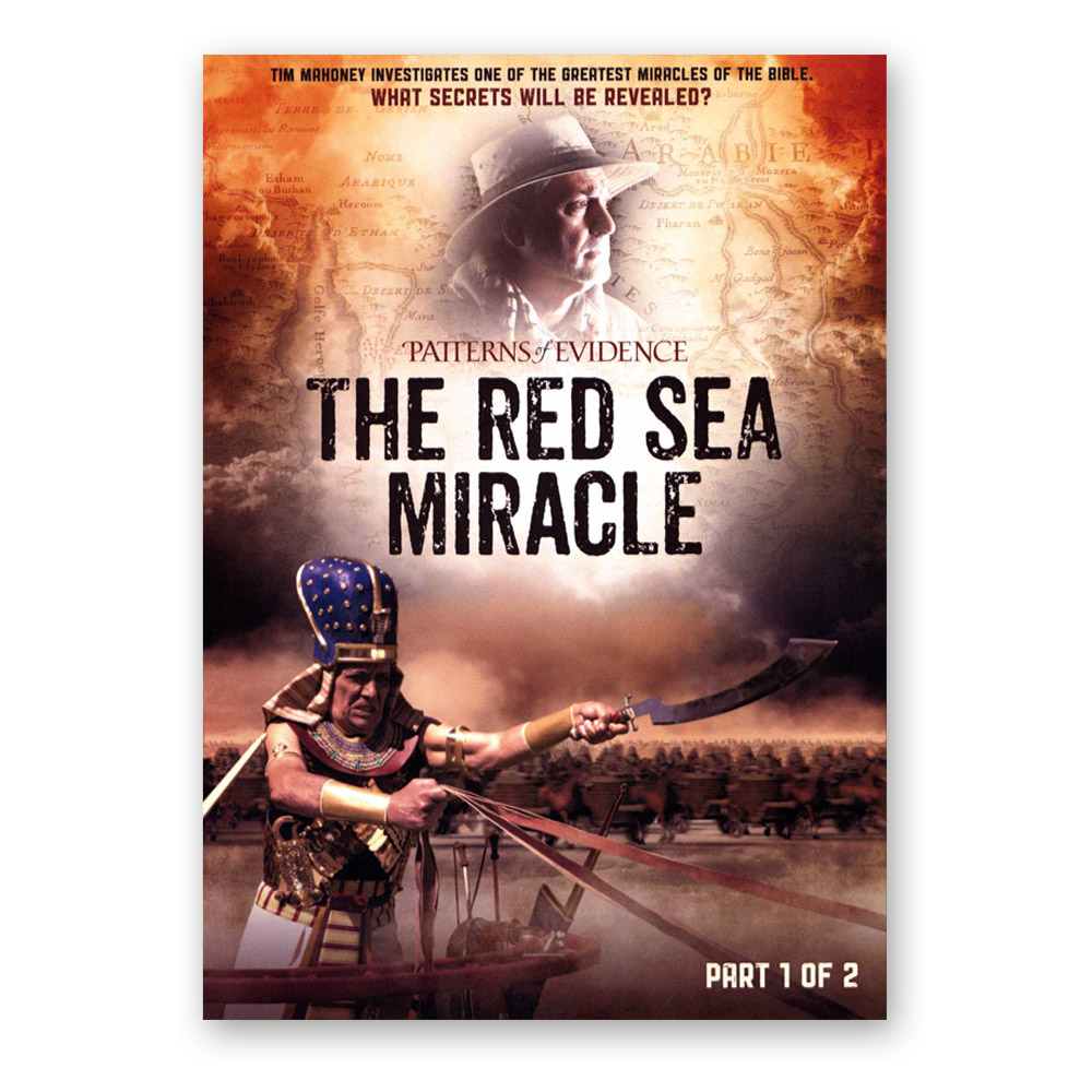 激レアThe Riganies You And The Sea 見本盤 赤盤 DPE3-Red-Sea-1-front.jpg