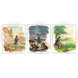 Shepherd Print Series